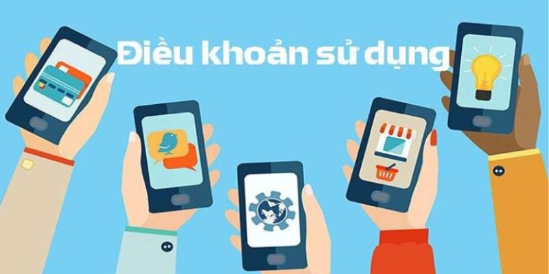 Quyền và bổn phận của bạn trong điều khoản